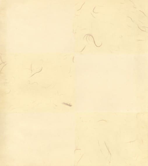 見本帳：玉鳳紙（高級紙）