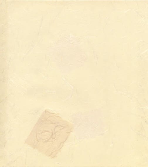 見本帳：玉鳳紙（高級紙）