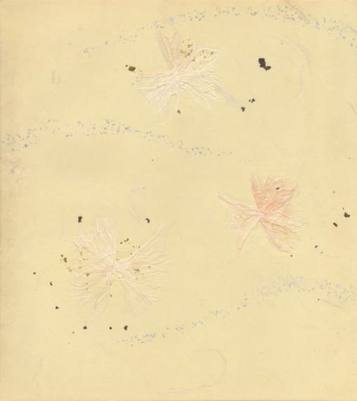 見本帳：玉鳳紙（高級紙）