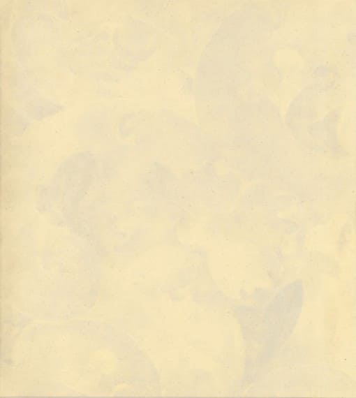 見本帳：玉鳳紙（高級紙）