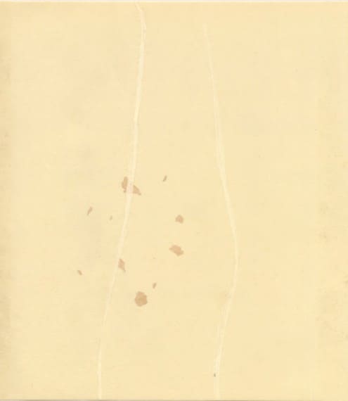 見本帳：玉鳳紙（高級紙）