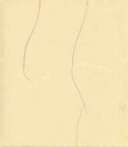 見本帳：玉鳳紙（高級紙）