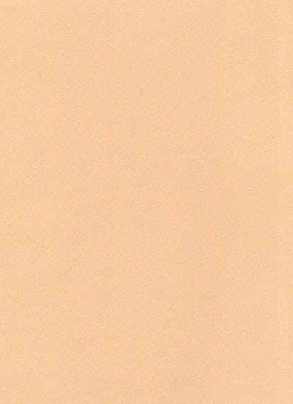 見本帳：彩　ひばり（普及品〜特注品）