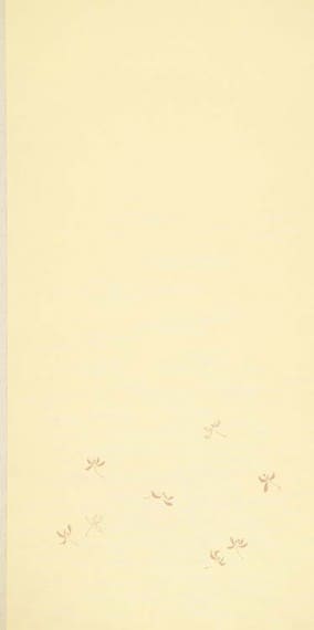 見本帳：燦-SAN-（中級上質和紙）